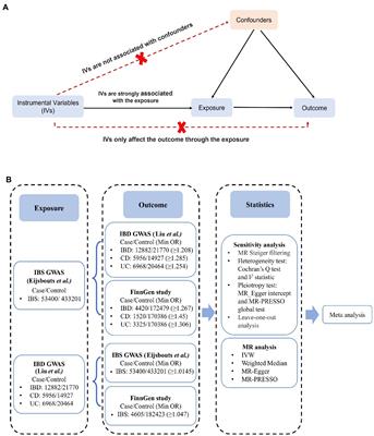 Inflammatory bowel disease is causally related to irritable bowel syndrome: a bidirectional two-sample Mendelian randomization study